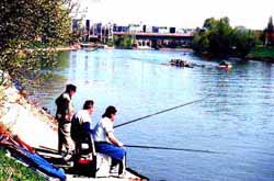 paris
        hotels
        disneyland - gis hotel paris - fishing