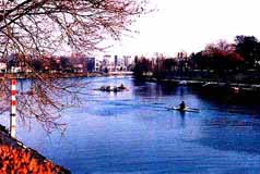 paris
        hotels
        disneyland - gis hotel paris - winter