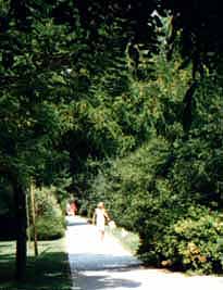 paris hotels disneyland - gis hotel paris - green parth