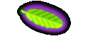 Paris Führer