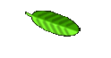 Aufnahme