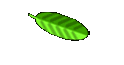 Paris Führer
