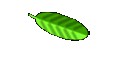 Zugang