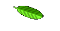 links