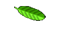 environnement